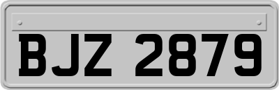 BJZ2879