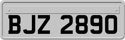 BJZ2890