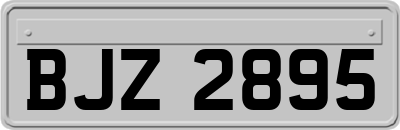 BJZ2895