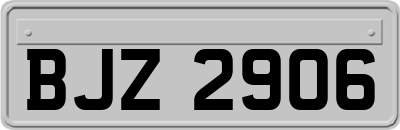 BJZ2906