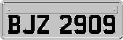 BJZ2909