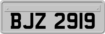 BJZ2919