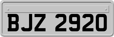 BJZ2920