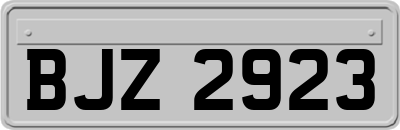 BJZ2923