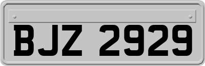 BJZ2929