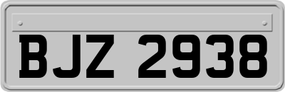 BJZ2938