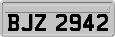 BJZ2942