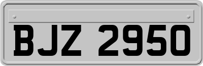 BJZ2950