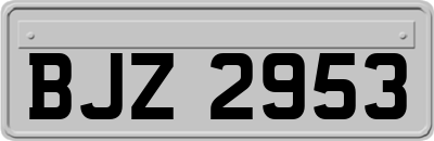 BJZ2953