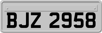 BJZ2958