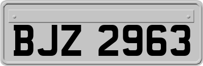 BJZ2963