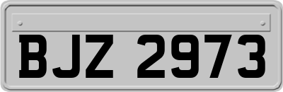 BJZ2973