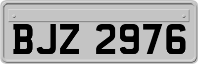 BJZ2976