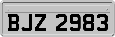 BJZ2983