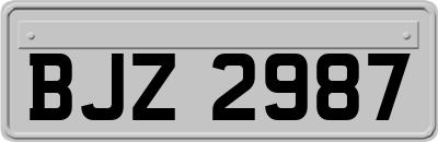 BJZ2987