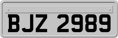 BJZ2989