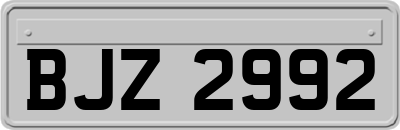 BJZ2992