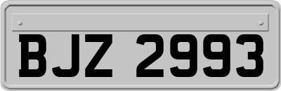BJZ2993