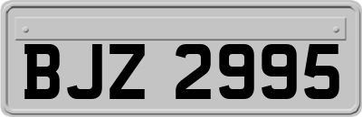 BJZ2995