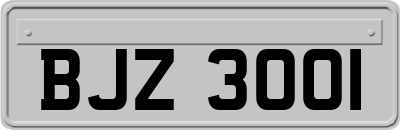 BJZ3001
