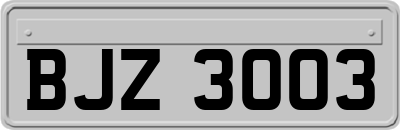 BJZ3003