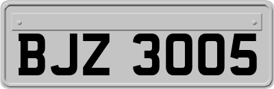 BJZ3005