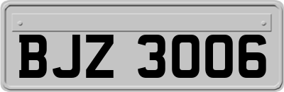 BJZ3006