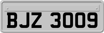 BJZ3009
