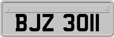 BJZ3011