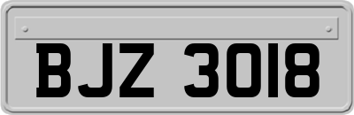 BJZ3018