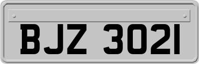 BJZ3021