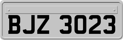 BJZ3023