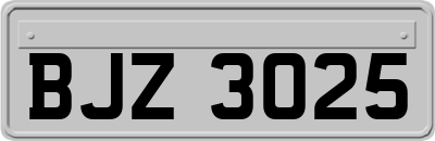 BJZ3025