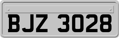 BJZ3028