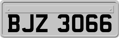BJZ3066