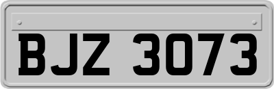 BJZ3073