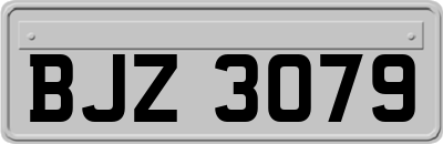 BJZ3079