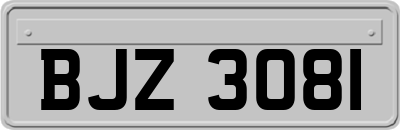 BJZ3081