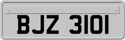 BJZ3101