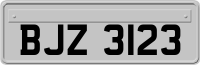 BJZ3123