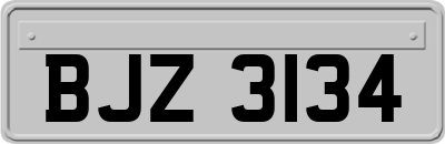 BJZ3134