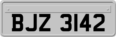 BJZ3142