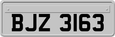 BJZ3163