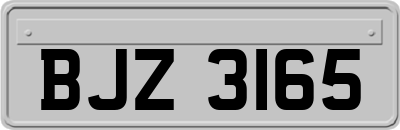 BJZ3165