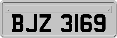 BJZ3169