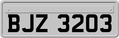 BJZ3203
