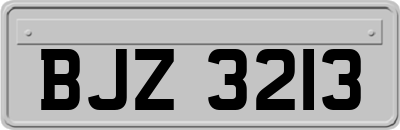 BJZ3213