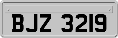 BJZ3219
