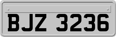 BJZ3236