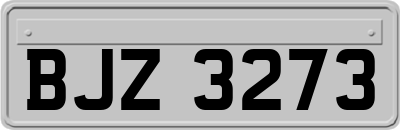 BJZ3273